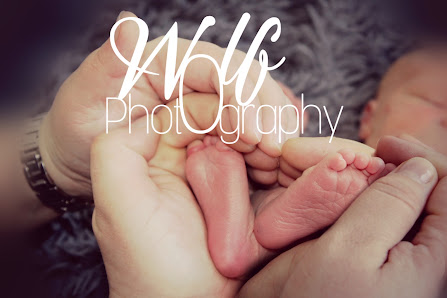 Wolf Photography