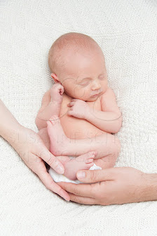 Susanne Schuld Photographie