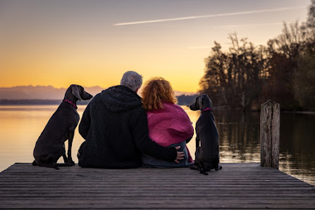 Hundefotografie München | Stefanie Hartge