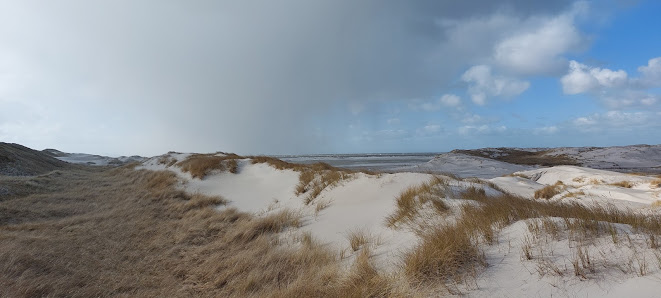 Mien Fotografie