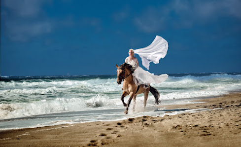 Jens Schmidt Fotograf Sylt