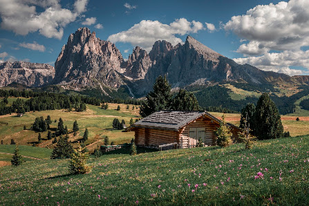 Bastian Linder Photography
