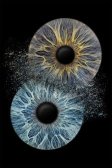 Eyepixx Iris-Fotografie Mühlhausen