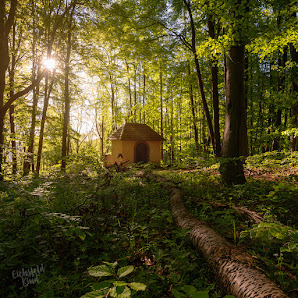 eichsfeldKIND - Landschaftsfotografie aus dem Eichsfeld