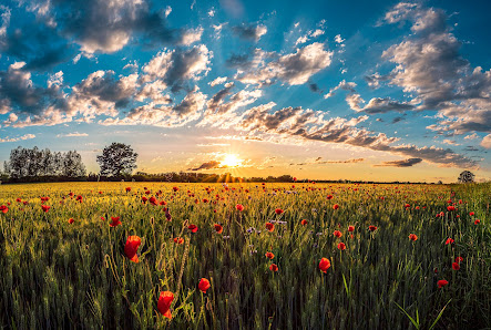 Michael Sauer Landschaftsfotografie