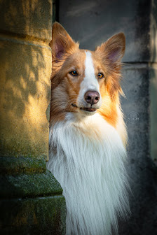 MALOHFotografie