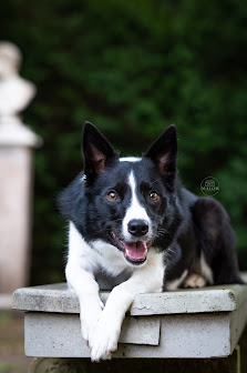 MALOHFotografie