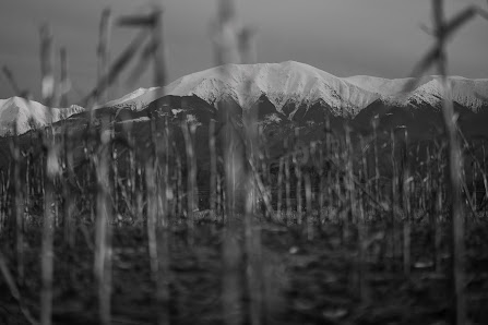 Fotostudio | Jonas Hellmann