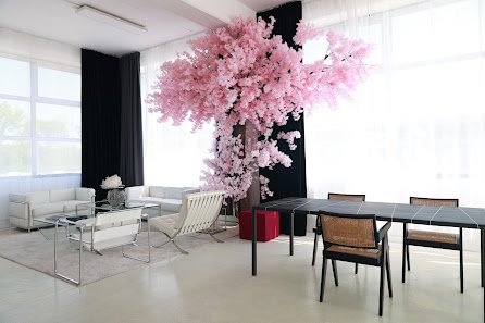 cemotion studio