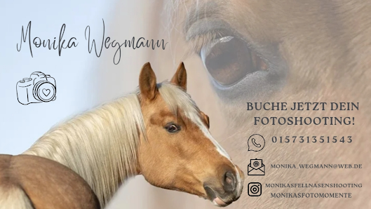 Monika Wegmann Fotografie