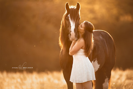 Angelina Brückner Fotografie - Hundefotografie & Pferdefotografie Frankfurt