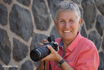 birgitharings-fotografie
