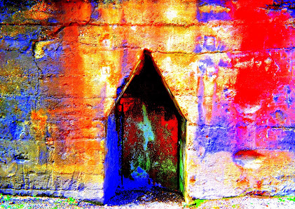 Hundefotos / Fotokunst