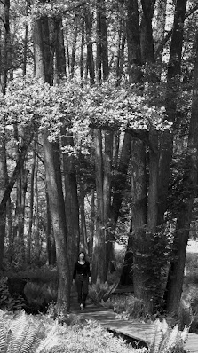 Nancy Glor | Fotografie + Mentoring