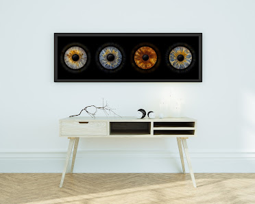 Eyepixx Iris-Fotografie Hannover