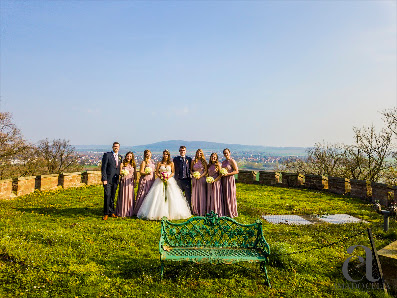 Hochzeitsfotograf Amado Celia