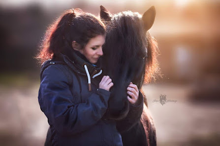 Tier & Hundefotografie - Tonon Fotodesign
