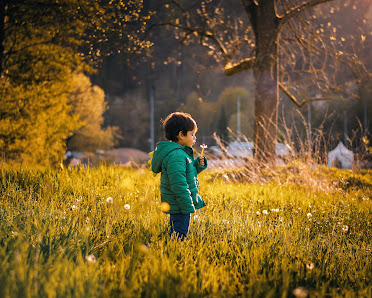 MO Photography