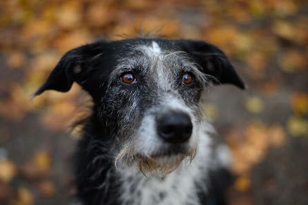 Aiko Sukdolak Natur- und Wildtierfotografie
