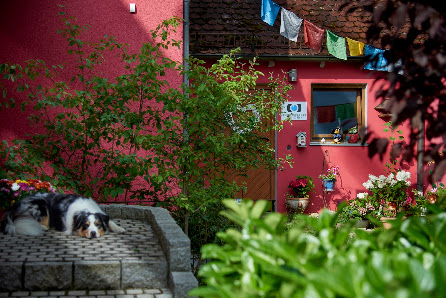 Fotograf Micha Braune