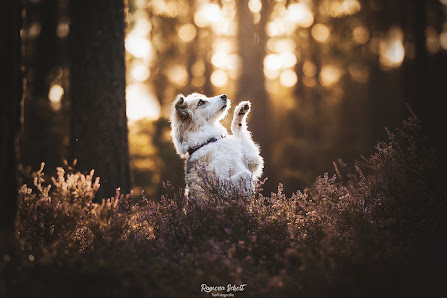 Wildmind | Ramona Schott Tierfotografie