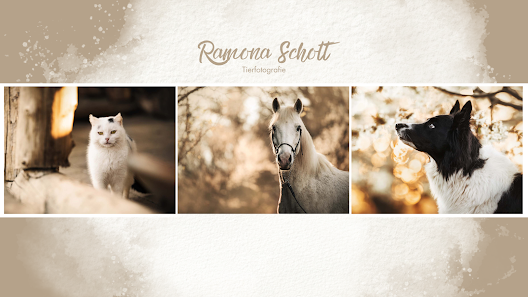 Wildmind | Ramona Schott Tierfotografie