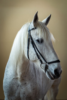 Fellpoesie by Tierfotografie Michael Nottrott