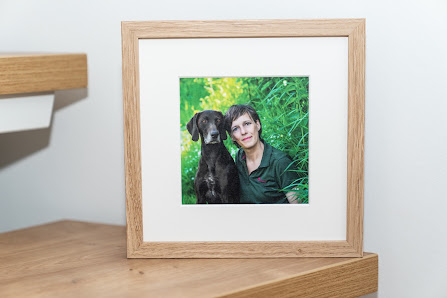 Ines Arnshoff Fotografie | Tierfotografie aus Bremen