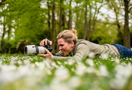 Nicole Biederbeck Photography