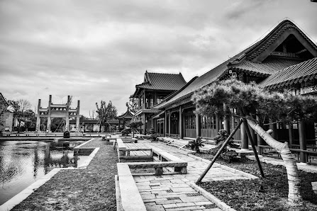 YONG Photography