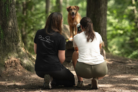 Denise Strauch Photography