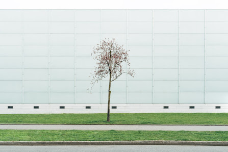 Thilo Rohländer Fotografie