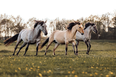 Fine Photography