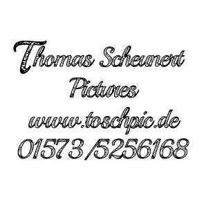 Thomas Scheunert