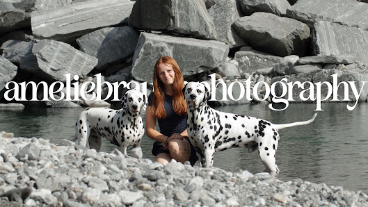 Amelie Brauer Photography