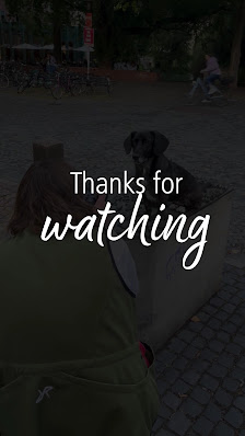 Hundefotografie mit Pep – Fotografin Silke Schmitt