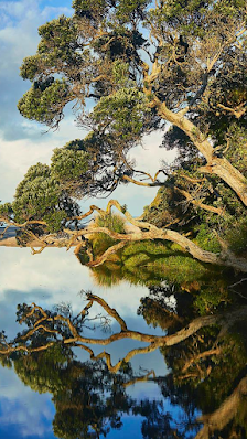 Alluminati Fine Art Photography