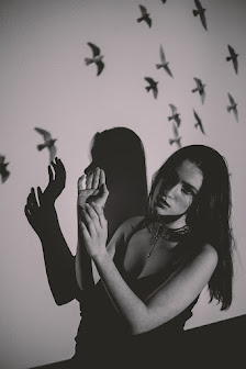 IL Photography