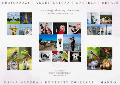 Magdalena Wyrebek • Fotografie | Grafikdesign | Internethandel mit Fotoprodukten • Fotograf Mannheim