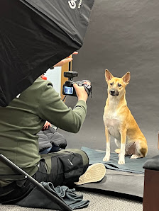 Magnucki Fotografie - Tierfotografie in Bielefeld